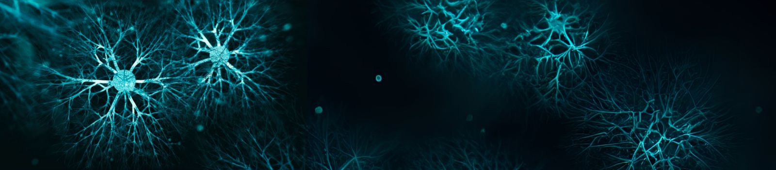 Neuroderechos
